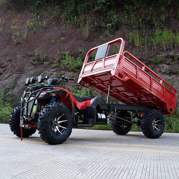 UTV Vehículo todoterreno todo terreno UTV